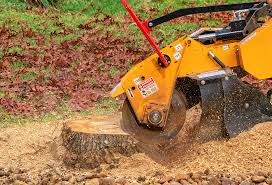 Professional Tree Care in Hopelawn, NJ