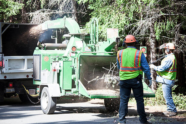 Best Aeration Services  in Hopelawn, NJ